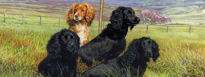working cocker spaniels painting jason lowes